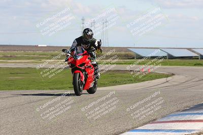 media/Feb-10-2024-TrackDaz (Sat) [[d83b097a69]]/B Group/1220pm (Wheelie Bump)/